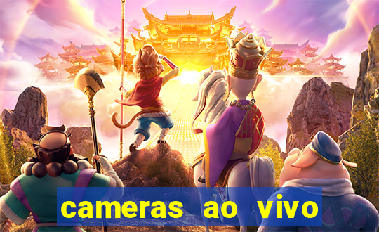 cameras ao vivo beto carrero